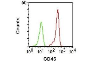 FACS staining of human PBMC using CD46 antibody (122. (CD46 anticorps)