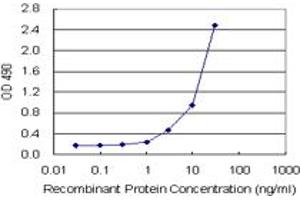 Sandwich ELISA detection sensitivity ranging from 1 ng/mL to 100 ng/mL. (CEACAM1 (Humain) Matched Antibody Pair)