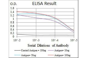 ELISA image for anti-Heat Shock Protein 90kDa alpha (Cytosolic), Class A Member 1 (HSP90AA1) antibody (ABIN1843961) (HSP90AA1 anticorps)