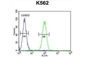 Flow Cytometry (FACS) image for anti-DEAD/H (Asp-Glu-Ala-Asp/His) Box Polypeptide 11 (DDX11) antibody (ABIN2996253) (DDX11 anticorps)