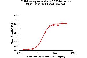 Elisa plates were pre-coated with Flag Tag CD36-Nanodisc (0. (CD36 Protein (CD36))