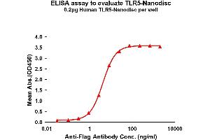 Elisa plates were pre-coated with Flag Tag -Nanodisc (0. (TLR5 Protéine)