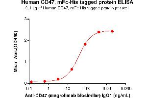 ELISA plate pre-coated by 1 μg/mL (100 μL/well) Human CD47, mFc-His tagged protein ABIN6961081, ABIN7042191 and ABIN7042192 can bind Anti-CD47(magrolimab biosimilar,IgG1) ABIN7093068 and ABIN7272598 in a linear range of 3. (Recombinant CD47 (Magrolimab Biosimilar) anticorps)