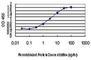 Detection limit for recombinant GST tagged ABCC8 is approximately 0. (ABCC8 anticorps  (AA 611-710))
