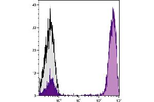 Flow Cytometry (FACS) image for Goat anti-Mouse IgG (Heavy & Light Chain) antibody (APC) - Preadsorbed (ABIN375830)