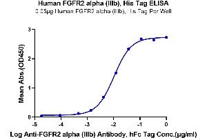 Immobilized Human FGFR2 alpha (IIIb) , His Tag at 0. (FGFR2 alpha (AA 22-378) protein (His tag))