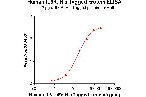 ELISA plate pre-coated by 2 μg/mL (100 μL/well) Human IL6R, His tagged protein (ABIN6964085, ABIN7042425 and ABIN7042426) can bind Human IL6, mFc-His tagged protein ABIN6961105, ABIN7042239 and ABIN7042240 in a linear range of 0. (IL-6 Receptor Protein (AA 20-365) (His tag))