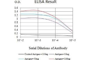 Black line: Control Antigen (100 ng),Purple line: Antigen (10 ng), Blue line: Antigen (50 ng), Red line:Antigen (100 ng) (MSH6 anticorps  (AA 374-540))