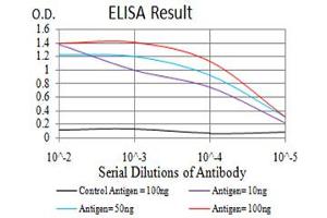 Fig. (NLRC4 anticorps  (pSer533))