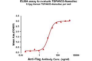 TSPAN33 Protéine