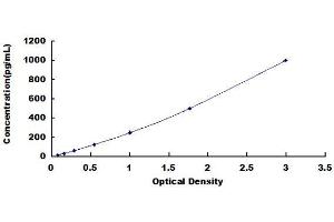 Typical Standard Curve (Cytokeratin 5 Kit ELISA)