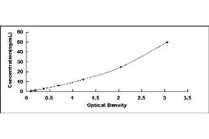 Typical standard curve (IgA Secretory Component Kit ELISA)