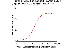 ELISA plate pre-coated by 2 μg/mL (100 μL/well) Human IL6R, His tagged protein (ABIN6964085, ABIN7042425 and ABIN7042426) can bind Anti-IL6R Neutralizing antibody ABIN7093060 and ABIN7272590 in a linear range of 0. (IL-6 Receptor Protein (AA 20-365) (His tag))