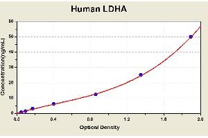 Diagramm of the ELISA kit to detect Human LDHAwith the optical density on the x-axis and the concentration on the y-axis. (Lactate Dehydrogenase A Kit ELISA)