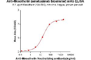 ELISA plate pre-coated by 2 μg/mL (100 μL/well) Human Mesothelin, mFc-His tagged protein ABIN6961104, ABIN7042237 and ABIN7042238 can bind Anti-Mesothelin Neutralizing antibody in a linear range of 3. (Recombinant Mesothelin (Amatuximab Biosimilar) anticorps)