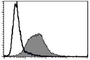 Flow cytometric analysis of mouse CD63 expression on WEHI-3B. (CD63 anticorps)