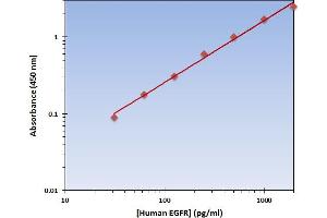 This is an example of what a typical standard curve will look like. (EGFR Kit ELISA)