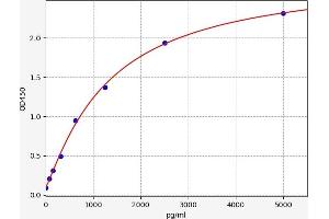 Typical standard curve (PRB4 Kit ELISA)