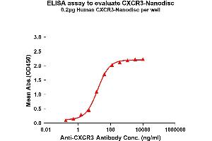 Elisa plates were pre-coated with Flag Tag C-Nanodisc (0. (CXCR3 Protéine)