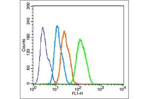 Image no. 6 for anti-Cytochrome C, Somatic (CYCS) (AA 51-105) antibody (ABIN723590)