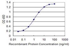 Detection limit for recombinant GST tagged SUPT16H is 0. (SUPT16H anticorps  (AA 608-715))