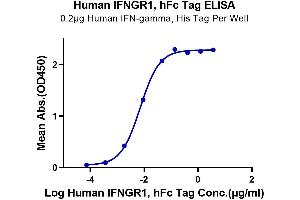 ELISA image for Interferon gamma Receptor 1 (IFNGR1) (AA 18-245) protein (Fc Tag) (ABIN7274846)