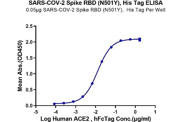 SARS-CoV-2 Spike Protein (N501Y, RBD) (His tag)