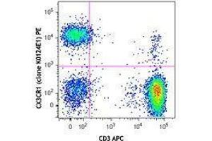 Flow Cytometry (FACS) image for anti-Chemokine (C-X3-C Motif) Receptor 1 (CX3CR1) antibody (PE) (ABIN2662696) (CX3CR1 anticorps  (PE))