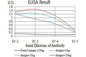 Black line: Control Antigen (100 ng);Purple line: Antigen (10ng); Blue line: Antigen (50 ng); Red line:Antigen (100 ng) (CD57 anticorps  (AA 193-334))