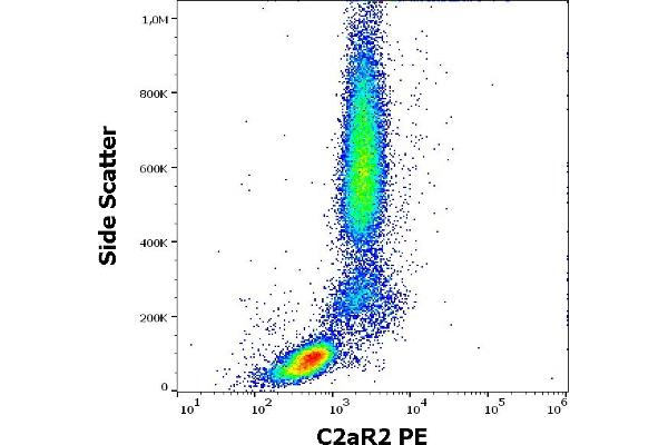 GPR77 anticorps  (PE)