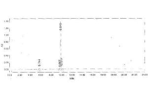 Image no. 2 for Gastrin (GAST) peptide (Ovalbumin) (ABIN5666188) (Gastrin (GAST) peptide (Ovalbumin))