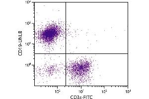 Flow Cytometry (FACS) image for Mouse anti-Rat IgG2a antibody (PE) (ABIN376529)