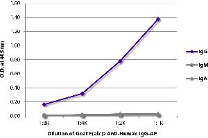 ELISA plate was coated with purified human IgG, IgM, and IgA. (Chèvre anti-Humain IgG (Heavy Chain) Anticorps (Alkaline Phosphatase (AP)))