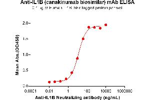 ELISA plate pre-coated by 1 μg/mL (100 μL/well) Human IL1B Protein, hFc Tag (ABIN6964158, ABIN7042509 and ABIN7042510) can bind Anti-IL1B Neutralizing antibody (ABIN7478012 and ABIN7490963) in a linear range of 0. (Recombinant IL1B (Canakinumab Biosimilar) anticorps)