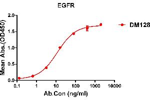 ELISA plate pre-coated by 1 μg/mL (100 μL/well) Human EGFR protein, His tagged protein ABIN6964078, ABIN7042411 and ABIN7042412 can bind Rabbit anti-EGFR monoclonal antibody (clone: DM128) in a linear range of 0. (EGFR anticorps  (AA 25-645))