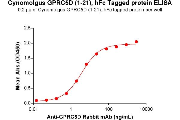 GPRC5D Protein (AA 1-21) (Fc Tag)