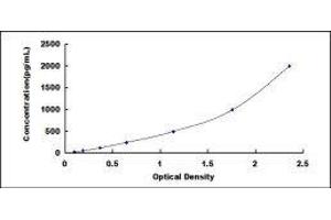 ELISA image for Apolipoprotein H (Beta-2-Glycoprotein I) (APOH) ELISA Kit (ABIN6730893)