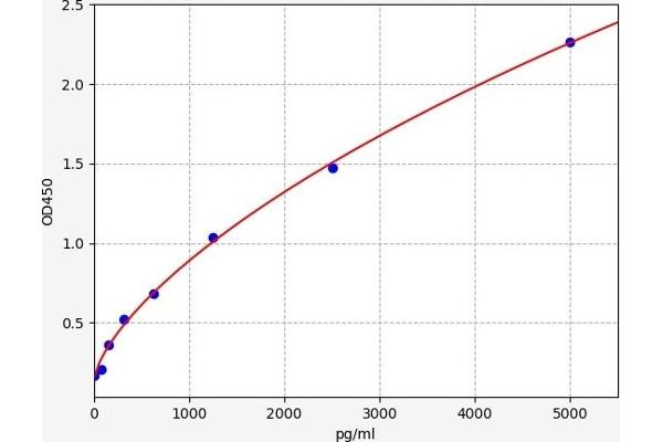 DLL4 Kit ELISA