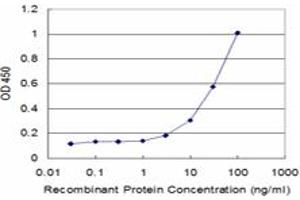 Detection limit for recombinant GST tagged SNX1 is approximately 3ng/ml as a capture antibody. (Sorting Nexin 1 anticorps  (AA 166-275))