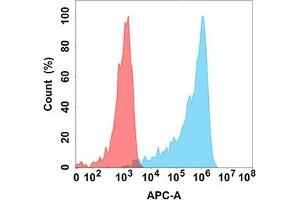 Flow cytometry analysis with Anti-IL15RA (DM206) on Expi293 cells transfected with human IL15RA (Blue histogram) or Expi293 transfected with irrelevant protein (Red histogram). (IL15RA anticorps)