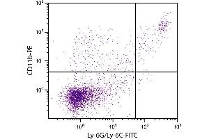 BALB/c mouse splenocytes were stained with Rat Anti-Mouse CD11b-PE. (CD11b anticorps  (PE))