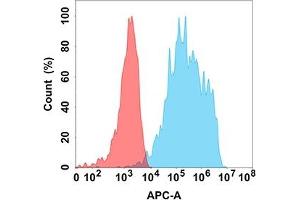 Flow cytometry analysis with Anti-IL18RA (DM218) on Expi293 cells transfected with human IL18RA (Blue histogram) or Expi293 transfected with irrelevant protein (Red histogram). (IL18R1 anticorps)