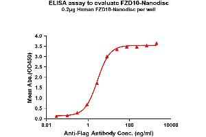 Elisa plates were pre-coated with Flag Tag -Nanodisc (0. (FZD10 Protéine)