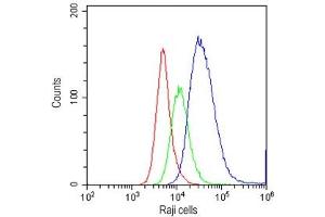 Flow cytometry testing of human Raji cells with CD34 antibody at 1ug/10^6 cells (cells blocked with goat sera) (CD34 anticorps  (AA 151-385))