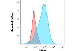 Flow Cytometric Analysis of MOLT-4 cells using CD2 Mouse Monoclonal Antibody (BH1) followed by goat anti-Mouse IgG-CF488 (Blue); Isotype Control (Red). (CD2 anticorps)