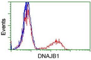 Flow Cytometry (FACS) image for anti-DnaJ (Hsp40) Homolog, Subfamily B, Member 1 (DNAJB1) antibody (ABIN1498735) (DNAJB1 anticorps)