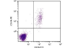 Human peripheral blood lymphocytes were stained with Mouse Anti-Human CD79b-PE. (CD79b anticorps  (PE))