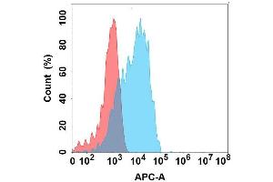 Flow cytometry analysis with Anti- on Expi293 cells transfected with human (Blue histogram) or Expi293 transfected with irrelevant protein (Red histogram). (GPR87 anticorps)