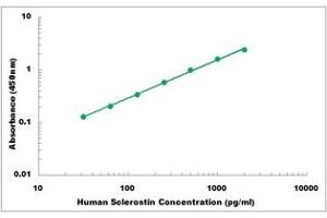 Representative Standard Curve (Sclerostin Kit ELISA)