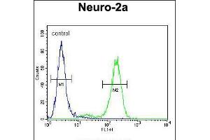 Flow cytometric analysis of Neuro-2a cells (right histogram) compared to a negative control cell (left histogram). (DDX11 anticorps  (AA 656-683))